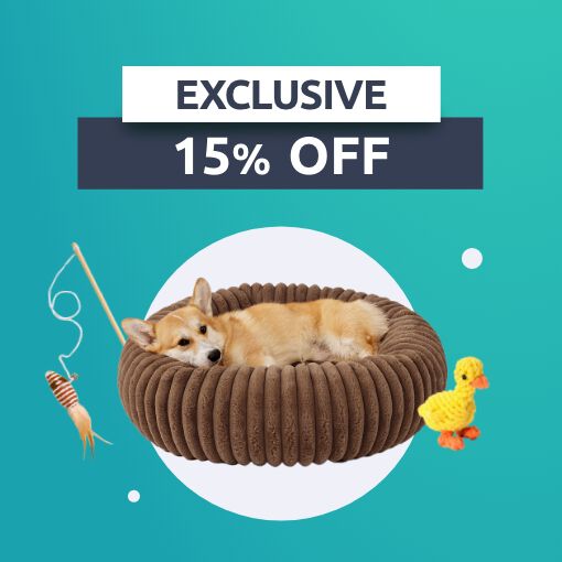 Shop Name: My Nest Boutique